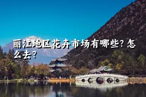 丽江地区花卉市场有哪些？怎么去？