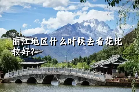 丽江地区什么时候去看花比较好？