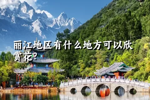 丽江地区有什么地方可以欣赏花？