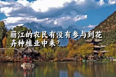 丽江的农民有没有参与到花卉种植业中来？