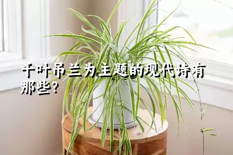 千叶吊兰为主题的现代诗有那些？