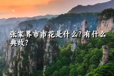 张家界市市花是什么？有什么典故？