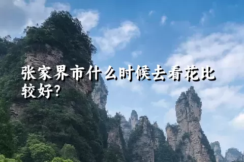 张家界市什么时候去看花比较好？