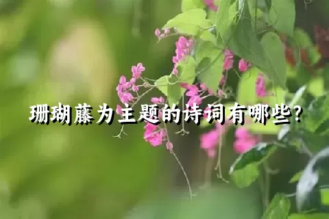 珊瑚藤为主题的诗词有哪些？