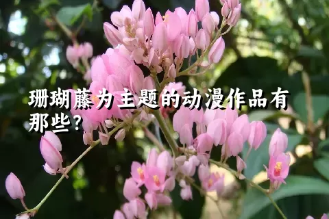 珊瑚藤为主题的动漫作品有那些？