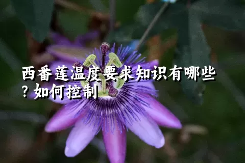 西番莲温度要求知识有哪些？如何控制