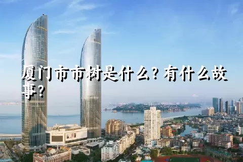 厦门市市树是什么？有什么故事？