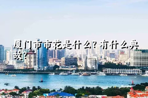 厦门市市花是什么？有什么典故？