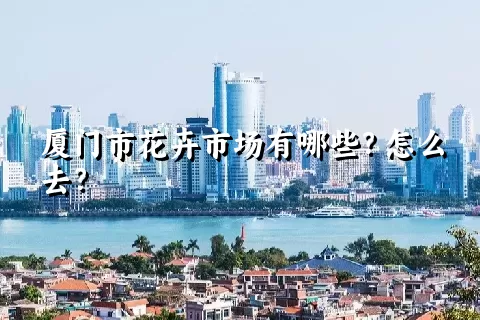 厦门市花卉市场有哪些？怎么去？