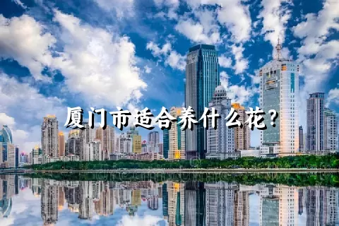 厦门市适合养什么花？