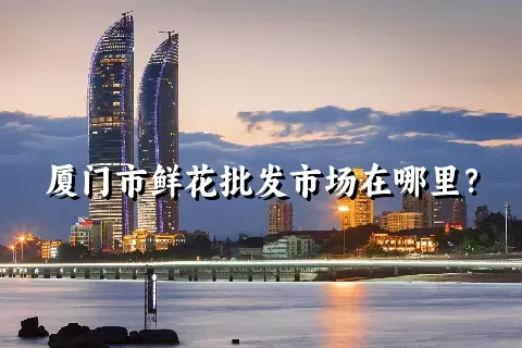 厦门市鲜花批发市场在哪里？