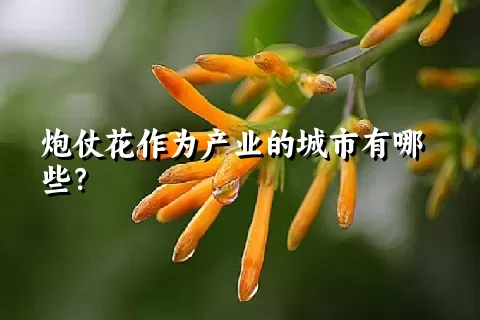 炮仗花作为产业的城市有哪些？