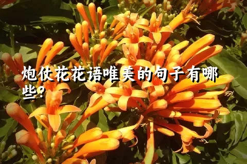 炮仗花花语唯美的句子有哪些？