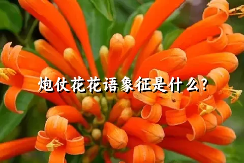 炮仗花花语象征是什么？