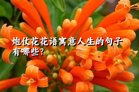 炮仗花花语寓意人生的句子有哪些？