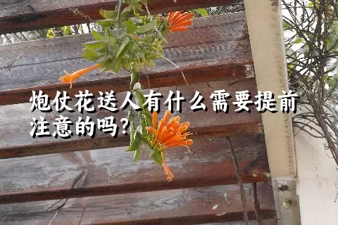 炮仗花送人有什么需要提前注意的吗？