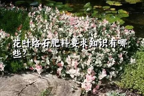 花叶络石肥料要求知识有哪些？