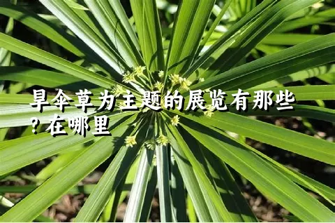 旱伞草为主题的展览有那些？在哪里