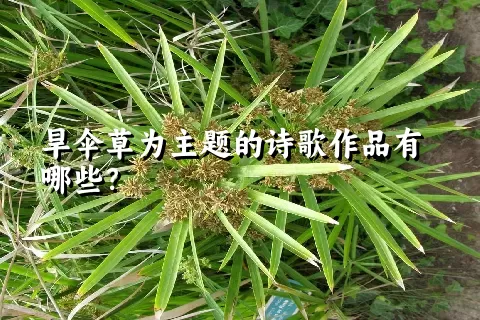 旱伞草为主题的诗歌作品有哪些？