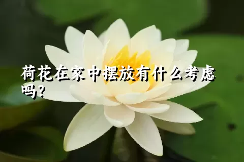 荷花在家中摆放有什么考虑吗？