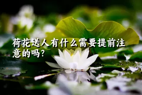 荷花送人有什么需要提前注意的吗？