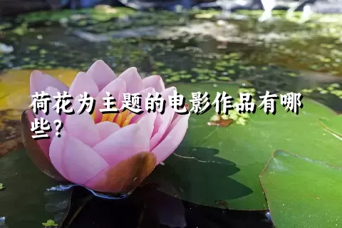 荷花为主题的电影作品有哪些？