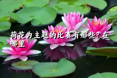 荷花为主题的比赛有那些？在哪里