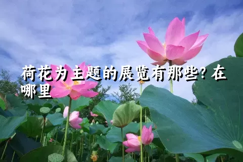 荷花为主题的展览有那些？在哪里