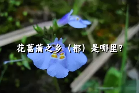 花菖蒲之乡（都）是哪里？