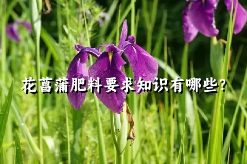 花菖蒲肥料要求知识有哪些？