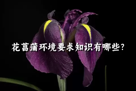 花菖蒲环境要求知识有哪些？