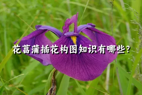 花菖蒲插花构图知识有哪些？