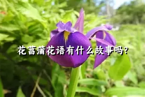 花菖蒲花语有什么故事吗？