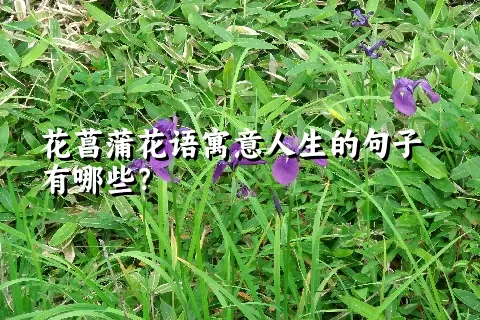 花菖蒲花语寓意人生的句子有哪些？