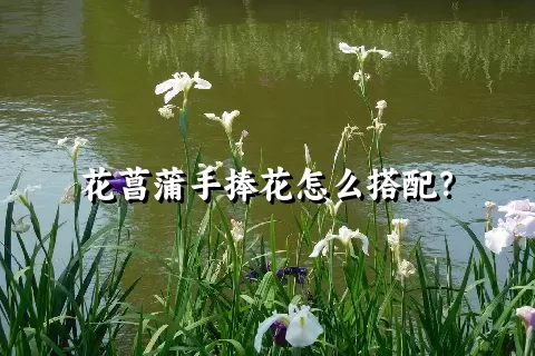 花菖蒲手捧花怎么搭配？