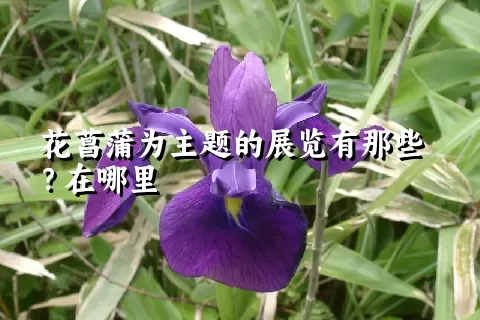 花菖蒲为主题的展览有那些？在哪里