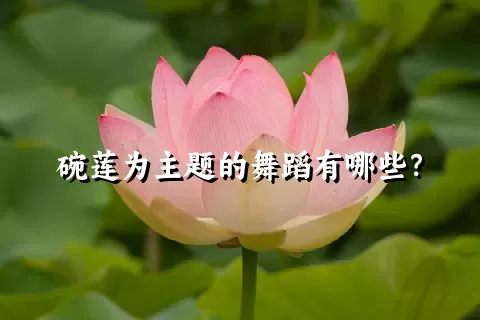 碗莲为主题的舞蹈有哪些？