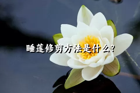 睡莲修剪方法是什么？