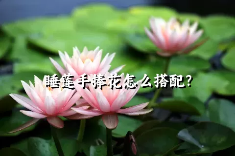 睡莲手捧花怎么搭配？