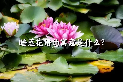 睡莲花语的寓意是什么？