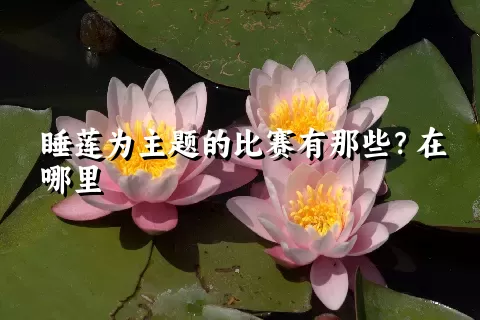 睡莲为主题的比赛有那些？在哪里