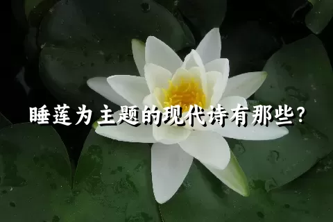 睡莲为主题的现代诗有那些？