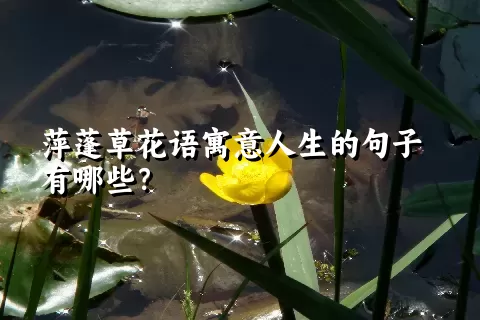 萍蓬草花语寓意人生的句子有哪些？