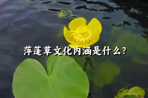 萍蓬草文化内涵是什么？