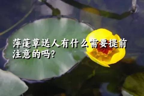 萍蓬草送人有什么需要提前注意的吗？