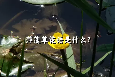 萍蓬草花语是什么？