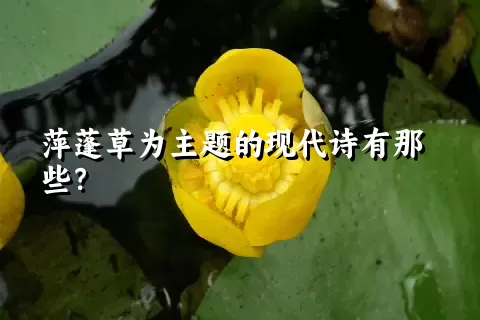 萍蓬草为主题的现代诗有那些？