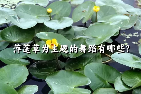 萍蓬草为主题的舞蹈有哪些？