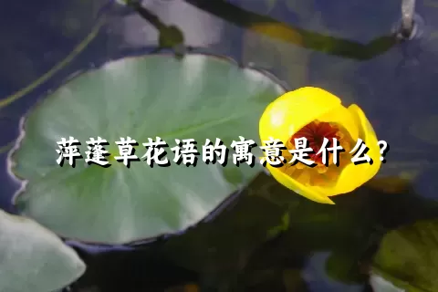 萍蓬草花语的寓意是什么？