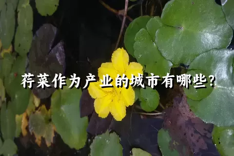 荇菜作为产业的城市有哪些？